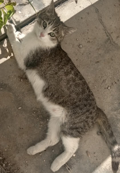 kullanıcı tarafından yüklenmiş görsel