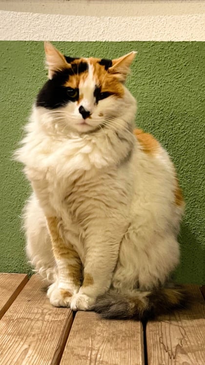 kullanıcı tarafından yüklenmiş görsel