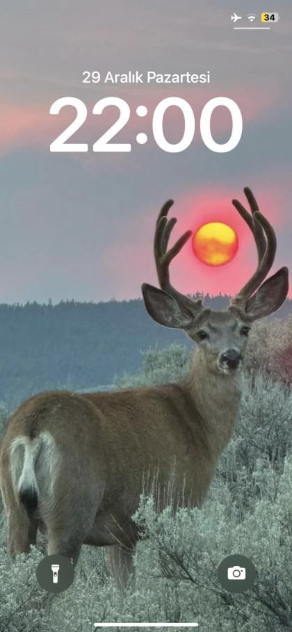 kullanıcı tarafından yüklenmiş görsel