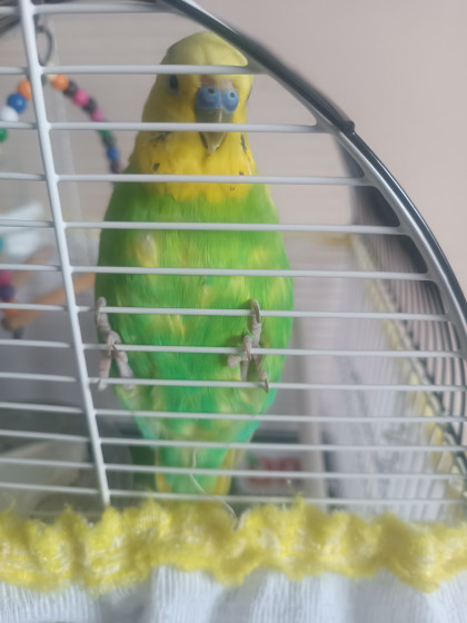 kullanıcı tarafından yüklenmiş görsel