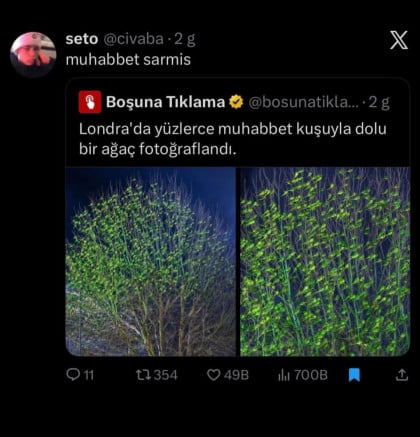 kullanıcı tarafından yüklenmiş görsel