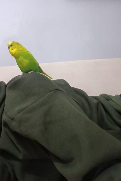 kullanıcı tarafından yüklenmiş görsel