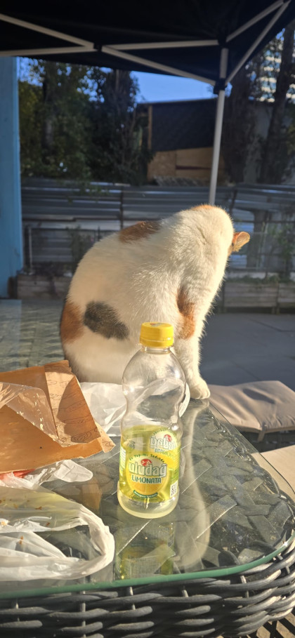 kullanıcı tarafından yüklenmiş görsel