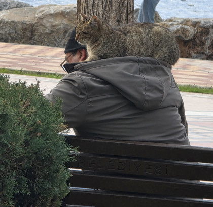 kullanıcı tarafından yüklenmiş görsel