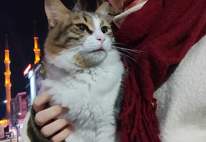 kullanıcı tarafından yüklenmiş görsel