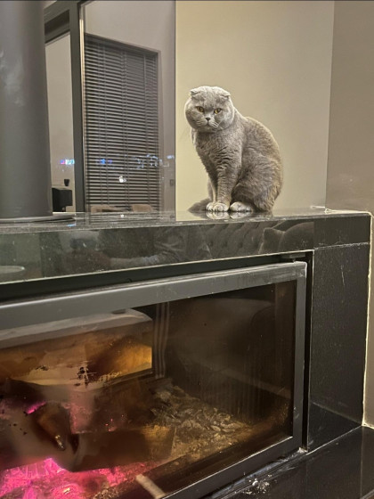 kullanıcı tarafından yüklenmiş görsel