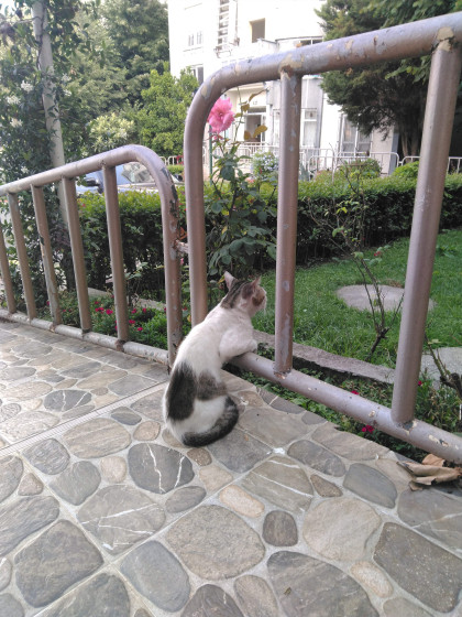 kullanıcı tarafından yüklenmiş görsel