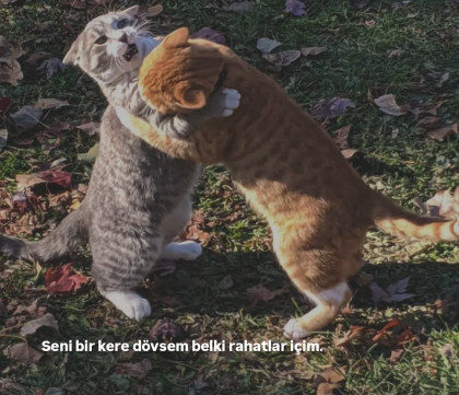 kullanıcı tarafından yüklenmiş görsel