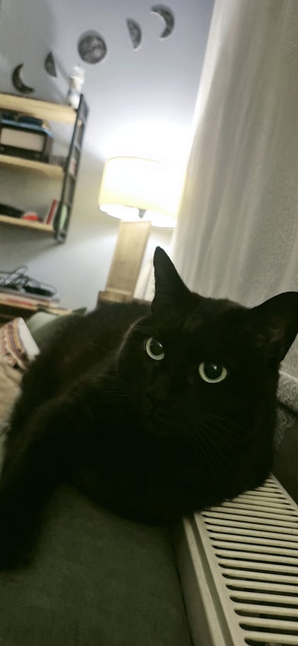 kullanıcı tarafından yüklenmiş görsel