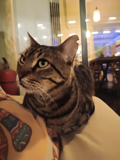 kullanıcı tarafından yüklenmiş görsel