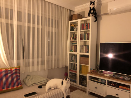 kullanıcı tarafından yüklenmiş görsel