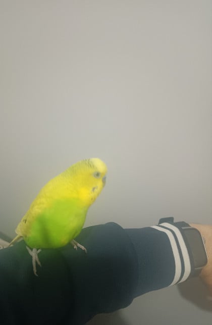 kullanıcı tarafından yüklenmiş görsel