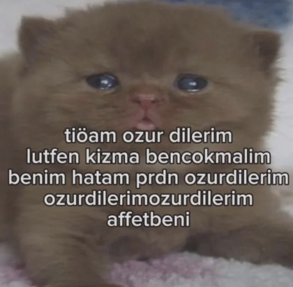 kullanıcı tarafından yüklenmiş görsel