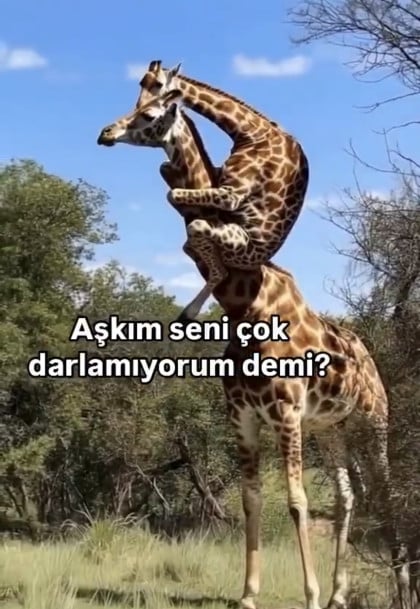 kullanıcı tarafından yüklenmiş görsel
