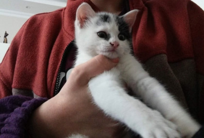 kullanıcı tarafından yüklenmiş görsel