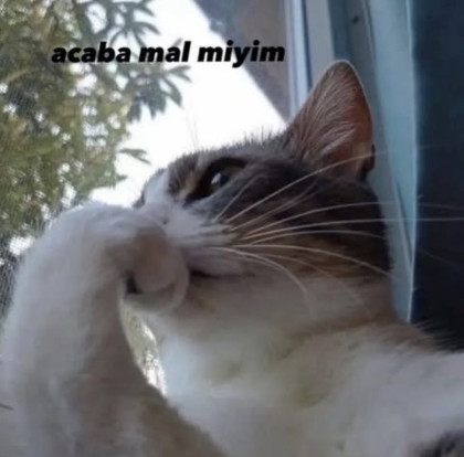 kullanıcı tarafından yüklenmiş görsel