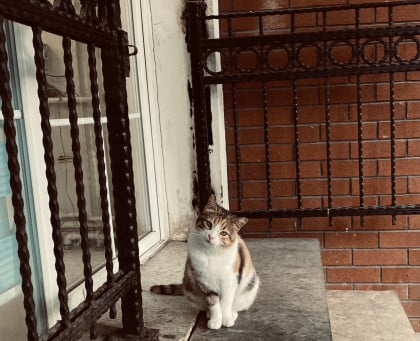 kullanıcı tarafından yüklenmiş görsel