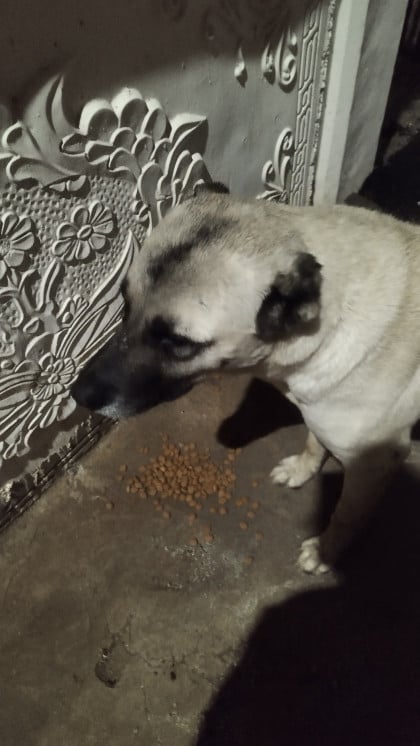 kullanıcı tarafından yüklenmiş görsel