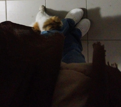 kullanıcı tarafından yüklenmiş görsel