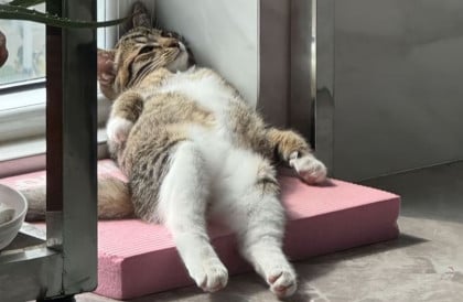 kullanıcı tarafından yüklenmiş görsel