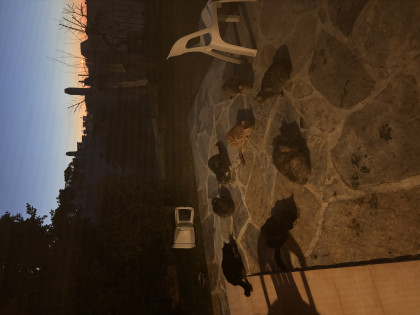 kullanıcı tarafından yüklenmiş görsel