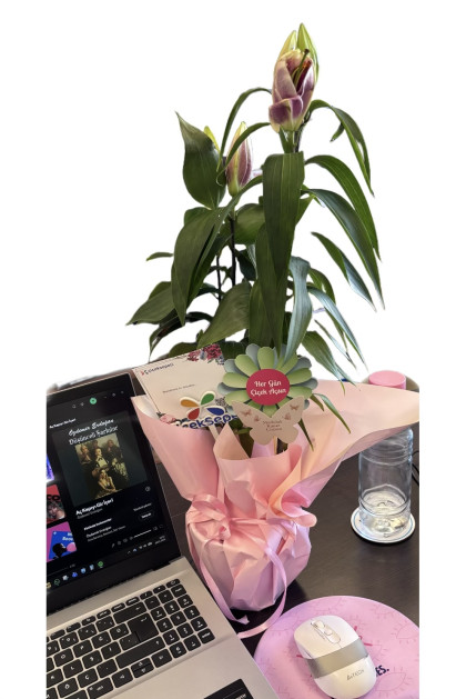 kullanıcı tarafından yüklenmiş görsel