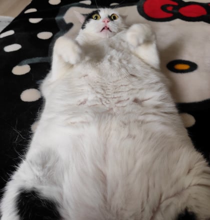 kullanıcı tarafından yüklenmiş görsel