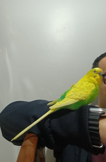 kullanıcı tarafından yüklenmiş görsel