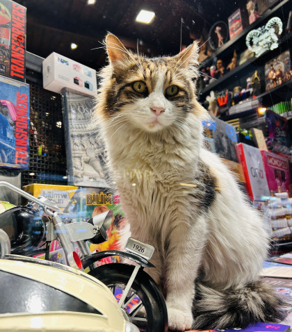 kullanıcı tarafından yüklenmiş görsel