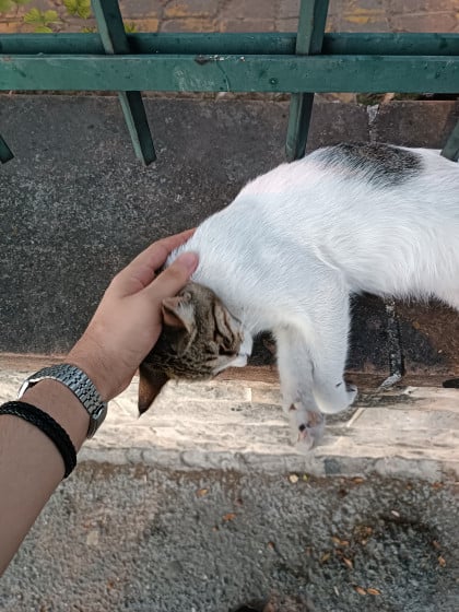 kullanıcı tarafından yüklenmiş görsel