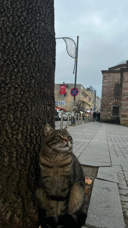 kullanıcı tarafından yüklenmiş görsel