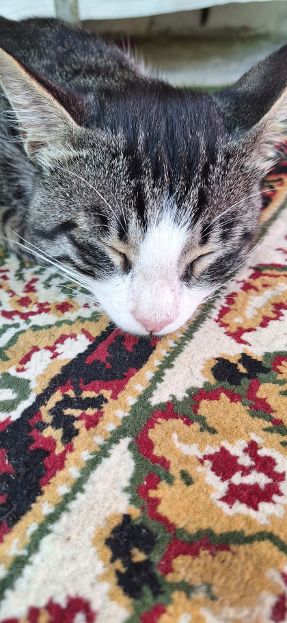 kullanıcı tarafından yüklenmiş görsel