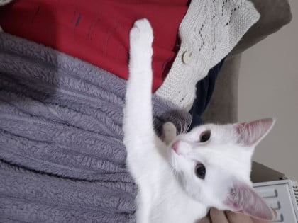 kullanıcı tarafından yüklenmiş görsel