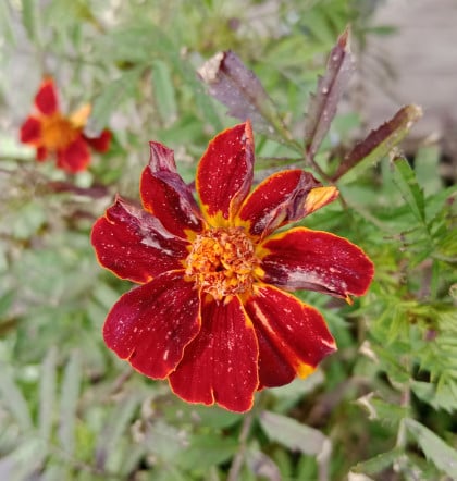 kullanıcı tarafından yüklenmiş görsel