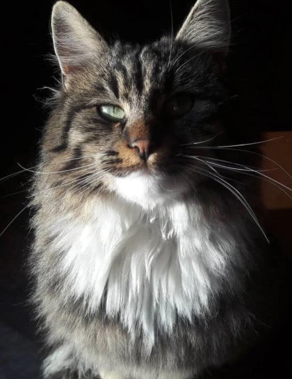 kullanıcı tarafından yüklenmiş görsel