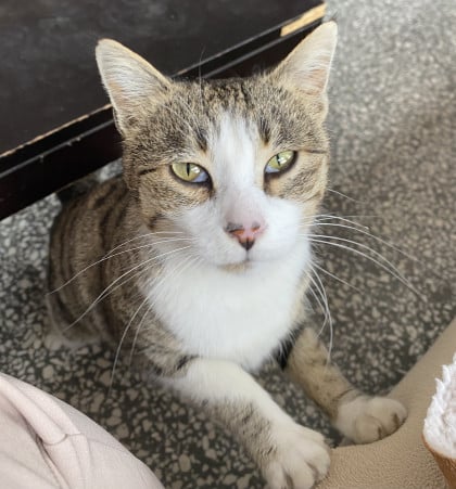 kullanıcı tarafından yüklenmiş görsel