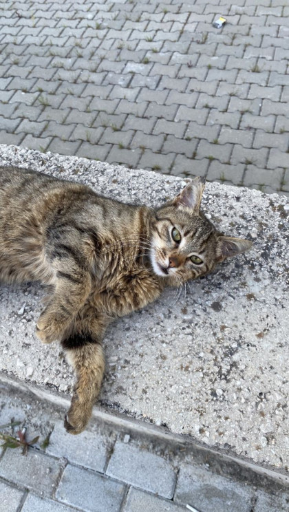 kullanıcı tarafından yüklenmiş görsel