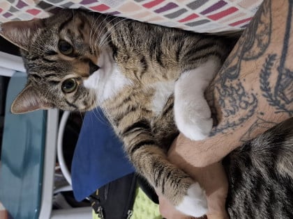 kullanıcı tarafından yüklenmiş görsel