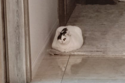 kullanıcı tarafından yüklenmiş görsel