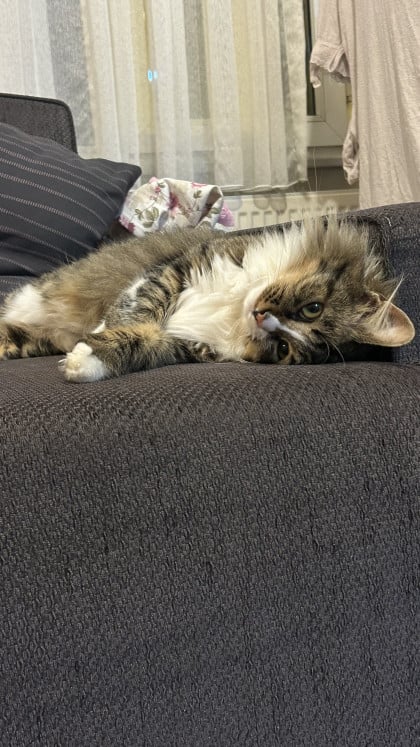 kullanıcı tarafından yüklenmiş görsel