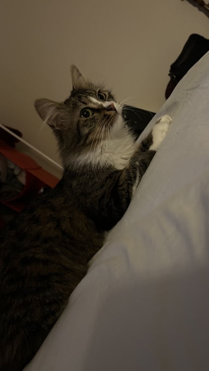 kullanıcı tarafından yüklenmiş görsel