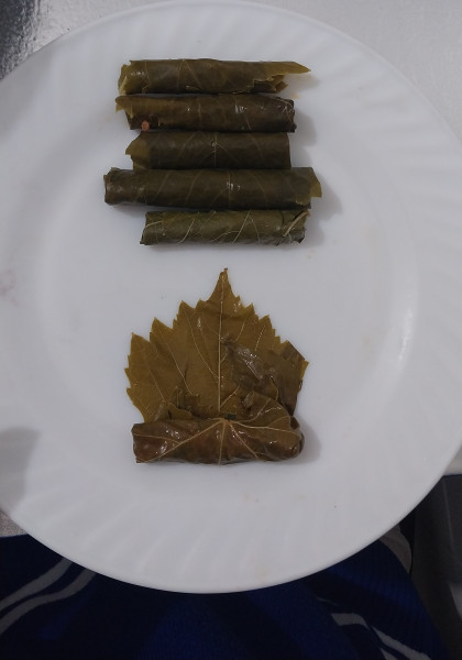 kullanıcı tarafından yüklenmiş görsel