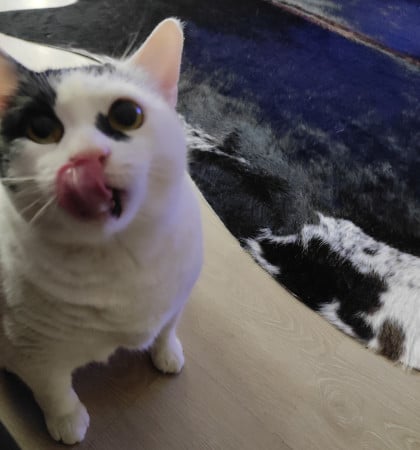 kullanıcı tarafından yüklenmiş görsel