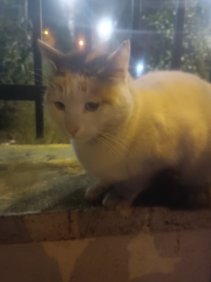 kullanıcı tarafından yüklenmiş görsel