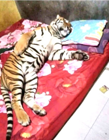 kullanıcı tarafından yüklenmiş görsel