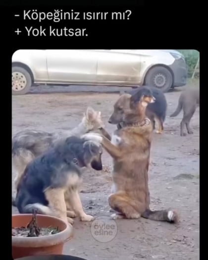 kullanıcı tarafından yüklenmiş görsel
