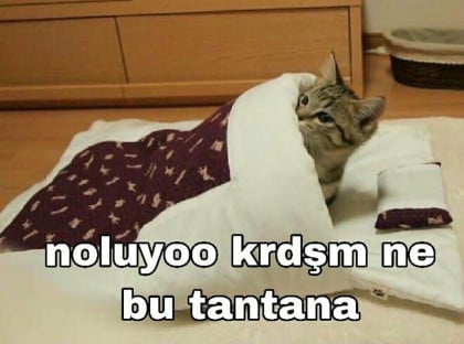 kullanıcı tarafından yüklenmiş görsel