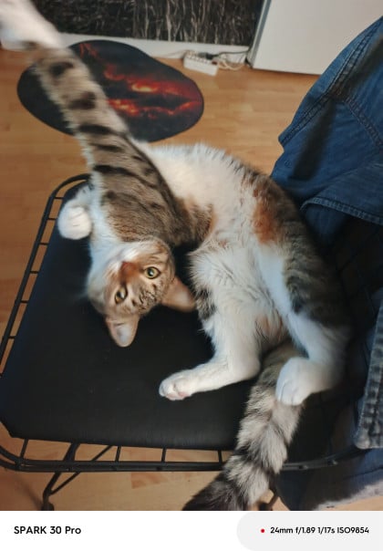 kullanıcı tarafından yüklenmiş görsel