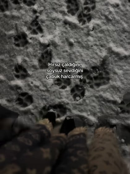 kullanıcı tarafından yüklenmiş görsel