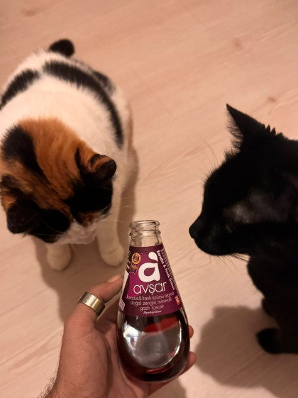 kullanıcı tarafından yüklenmiş görsel